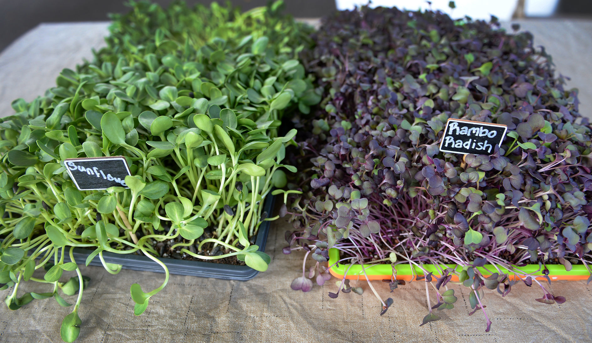 Oh My Greens